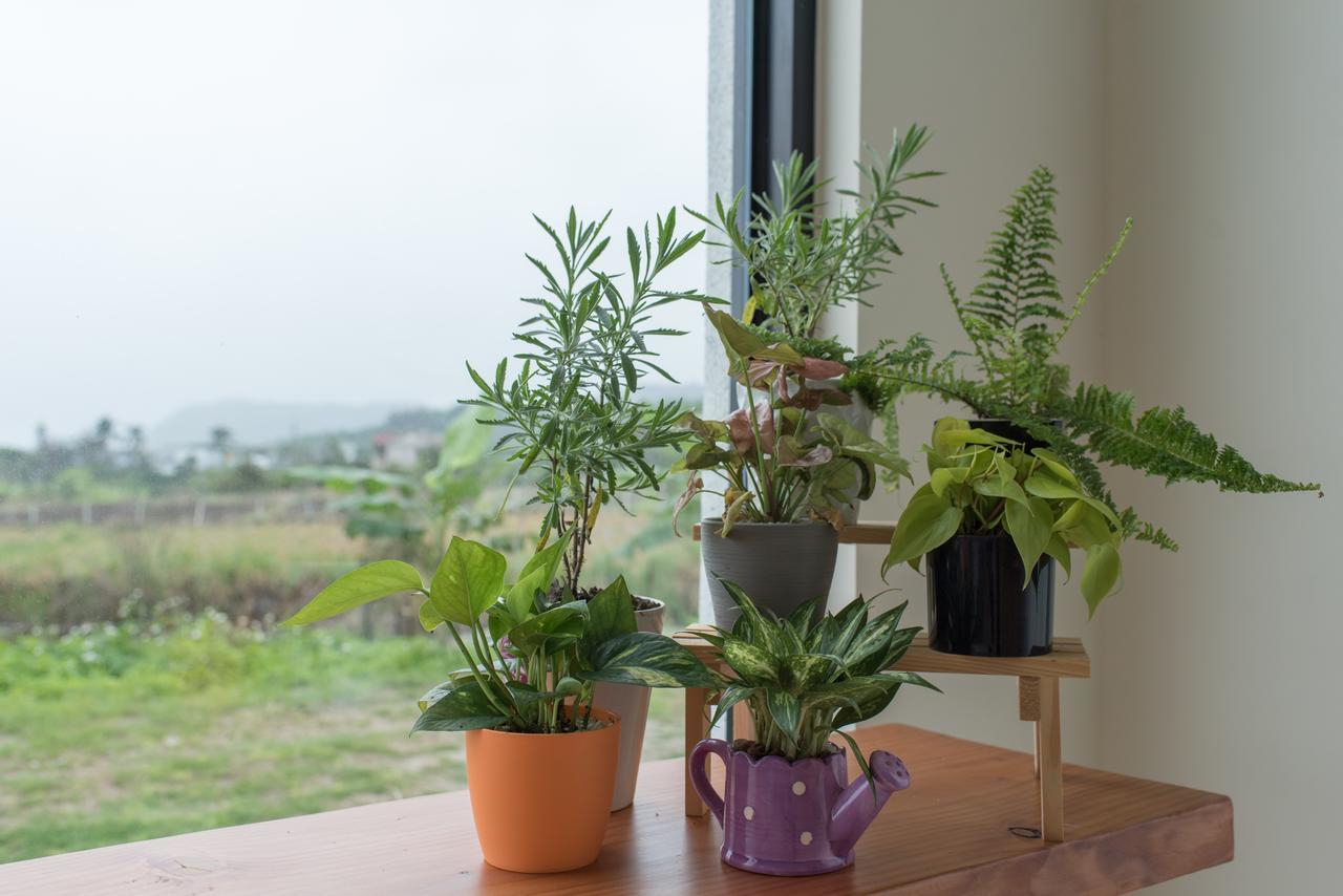 Luka Luna B&B Taitung Bagian luar foto
