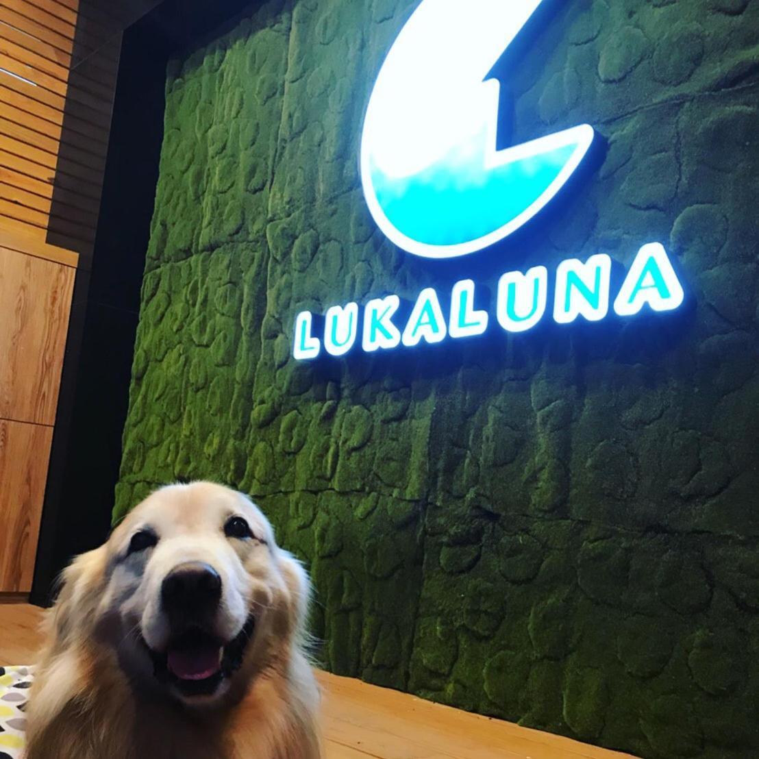 Luka Luna B&B Taitung Bagian luar foto